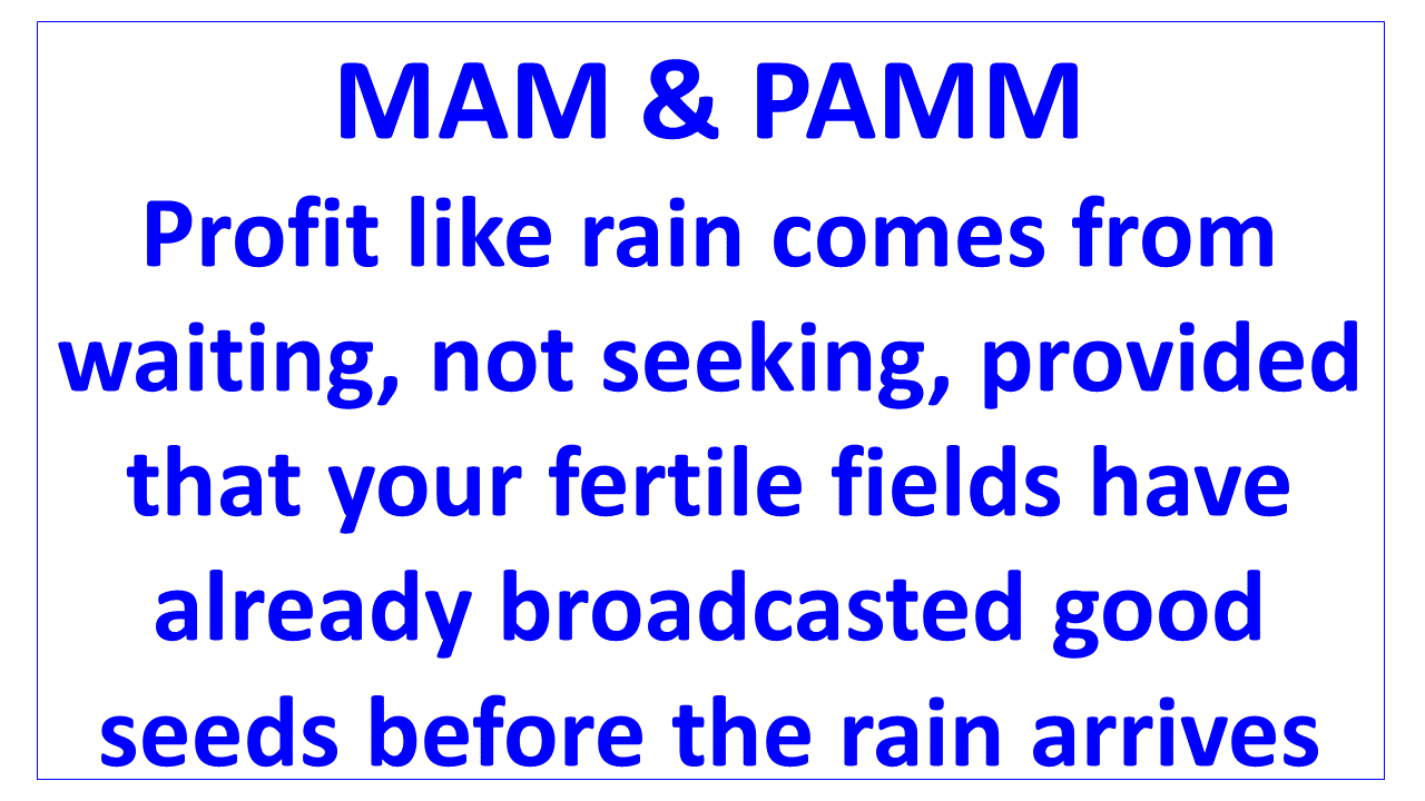 profit like rain comes from waiting not seeking en